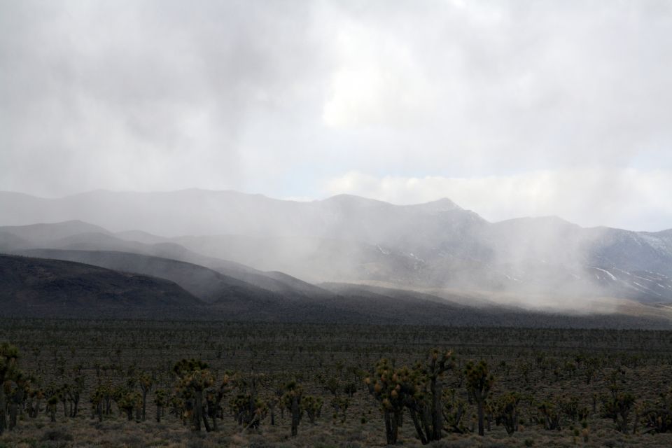 Death Valley Feb 27 067